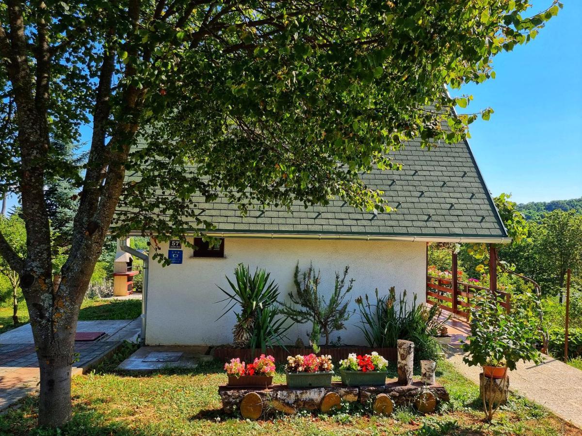 Guesthouse Mreznica- Mreznicka Idila resort Galovic-Selo Exterior foto